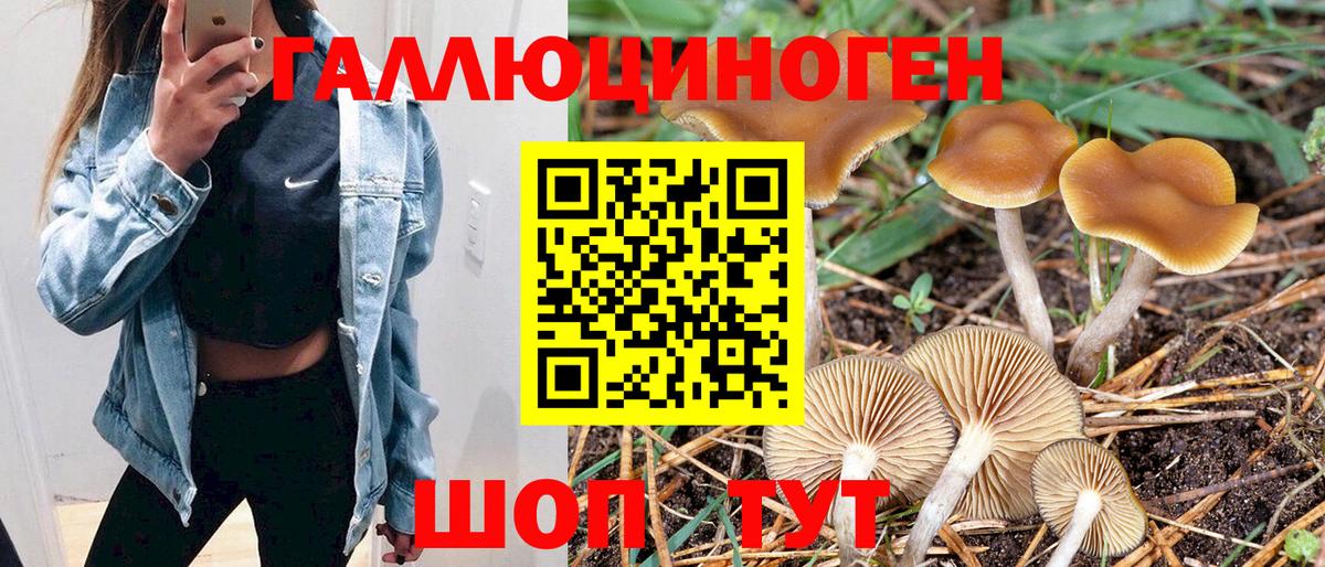 Псилоцибиновые грибы Cubensis  Вход с VPN  Тихвин 